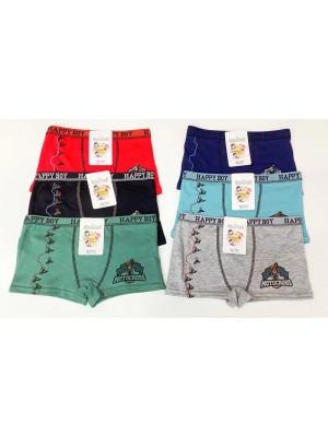 copy of [Y-600] Boxers garçon en coton polyester